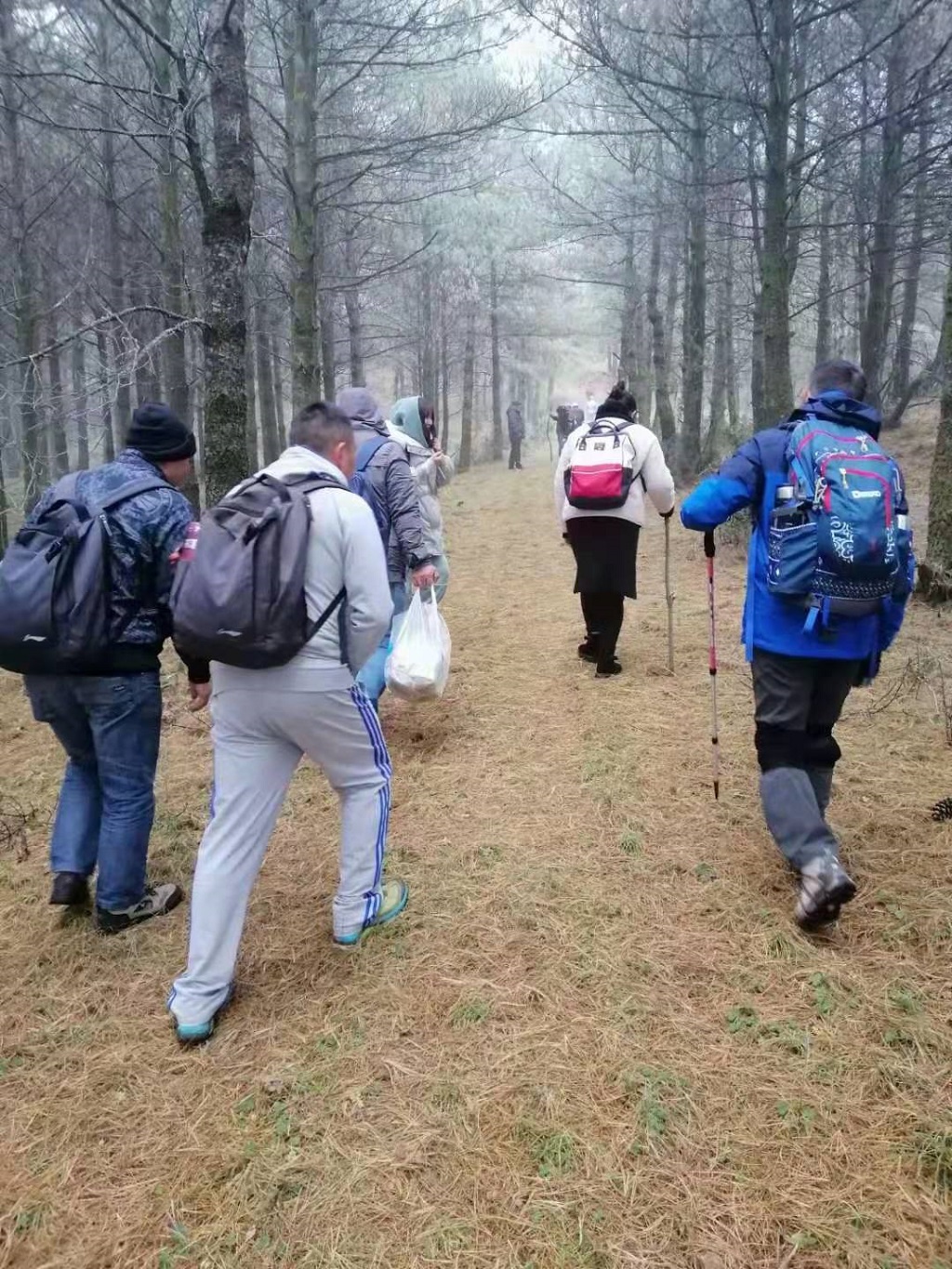 一程風雨一程山水，一樹花開一樹人間